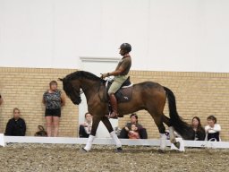 IMG_1575_web